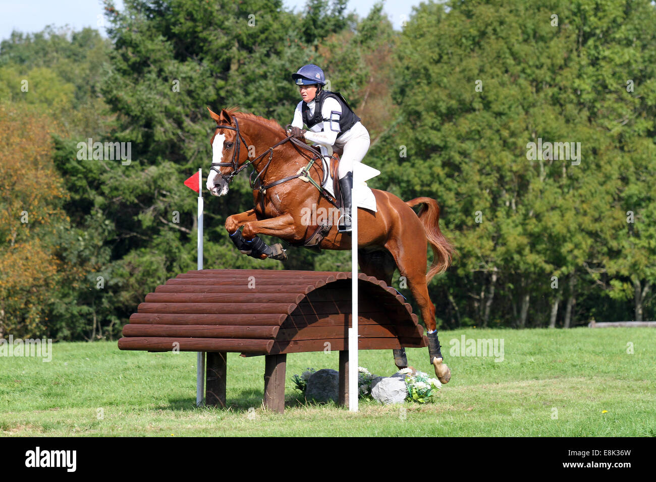 Pippa Funnell auf Billy Landretti im Süden von England Horse Trials 2014 Stockfoto