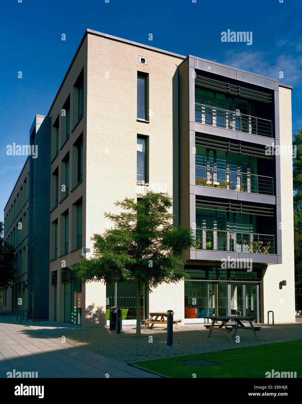 Die Arc-Cafe im Alison Richard Gebäude auf dem Sidgwick Gelände der University of Cambridge Stockfoto
