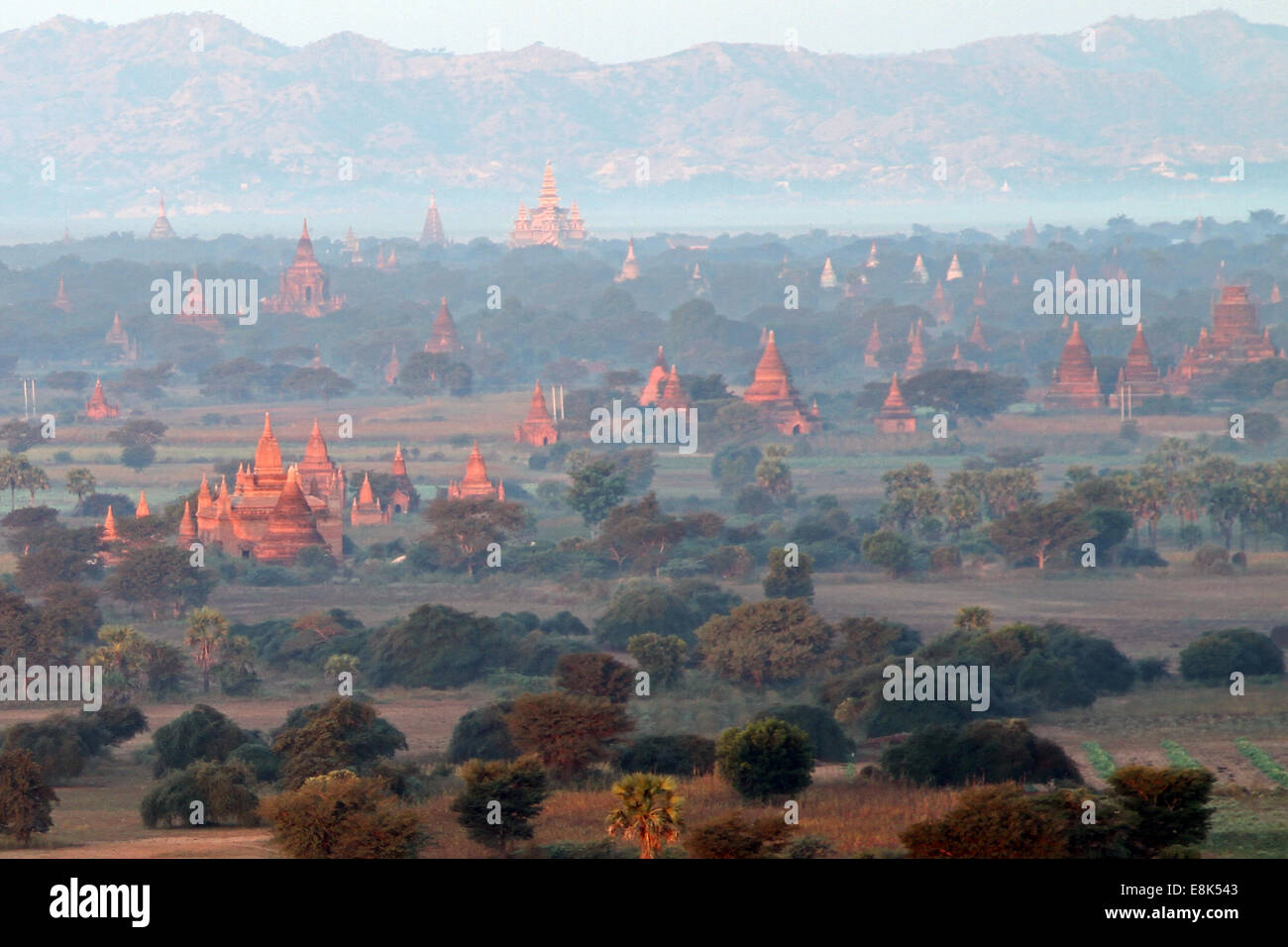 Tempel entstehen in der Morgendämmerung in Bagan, Birma (Myanmar) Stockfoto
