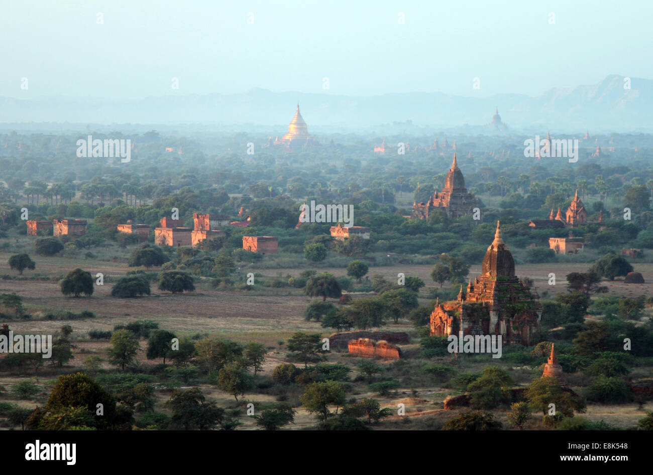 Tempel entstehen in der Morgendämmerung in Bagan, Birma (Myanmar) Stockfoto