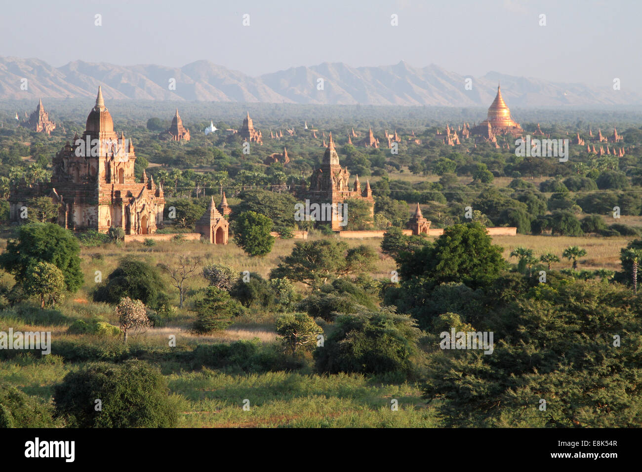 Tempel zu fangen das Abendlicht in Bagan, Birma (Myanmar) Stockfoto