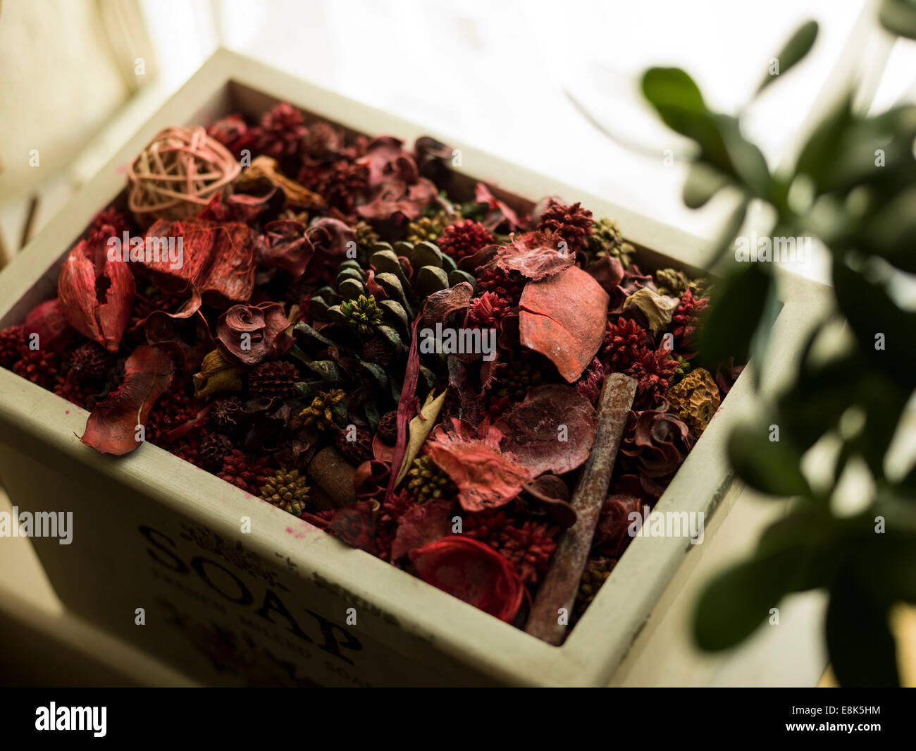 Potpourri Stockfoto