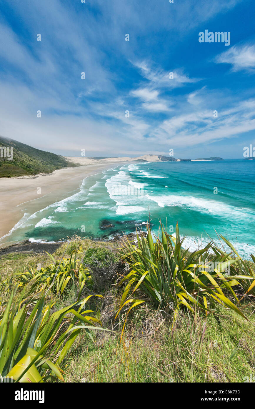 Neuseeland, Nordinsel, Cape Reinga, Te Werahi Strand (großformatige Größen erhältlich) Stockfoto