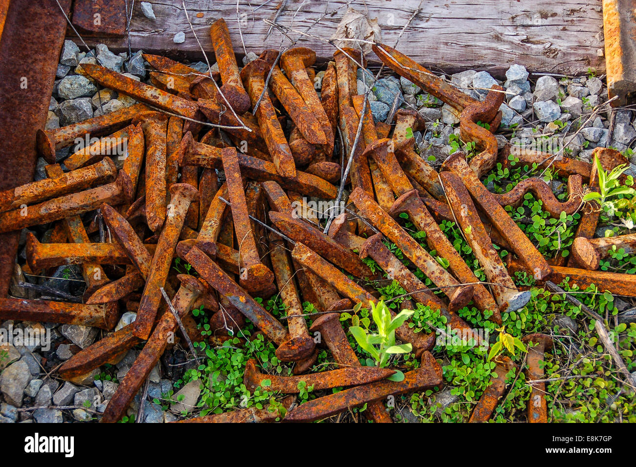 Eine Auflistung von rostigen Railroad Spikes. Stockfoto