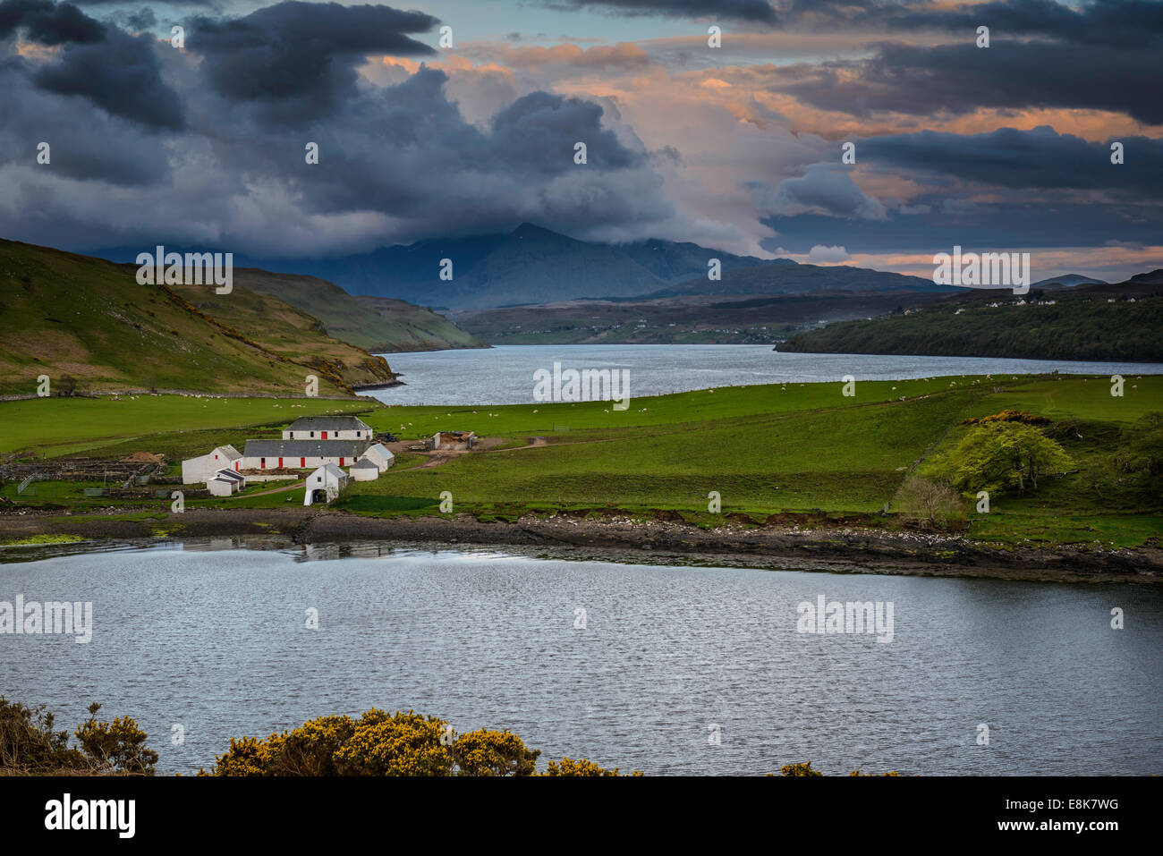 Loch Harport Stockfoto