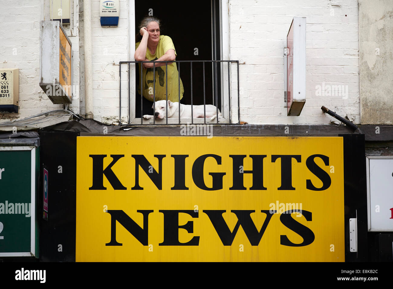 Middleton Stadtzentrum Einheimischen einkaufen Dame Zuschauer aus ihrer Wohnung Balkon mit ihrem weißen Staffordshire Terrier Hund Stockfoto