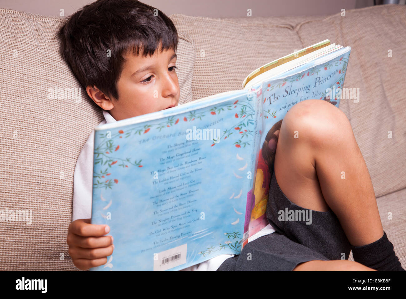 Schüler zu Hause Bibliothek Buch Stockfoto