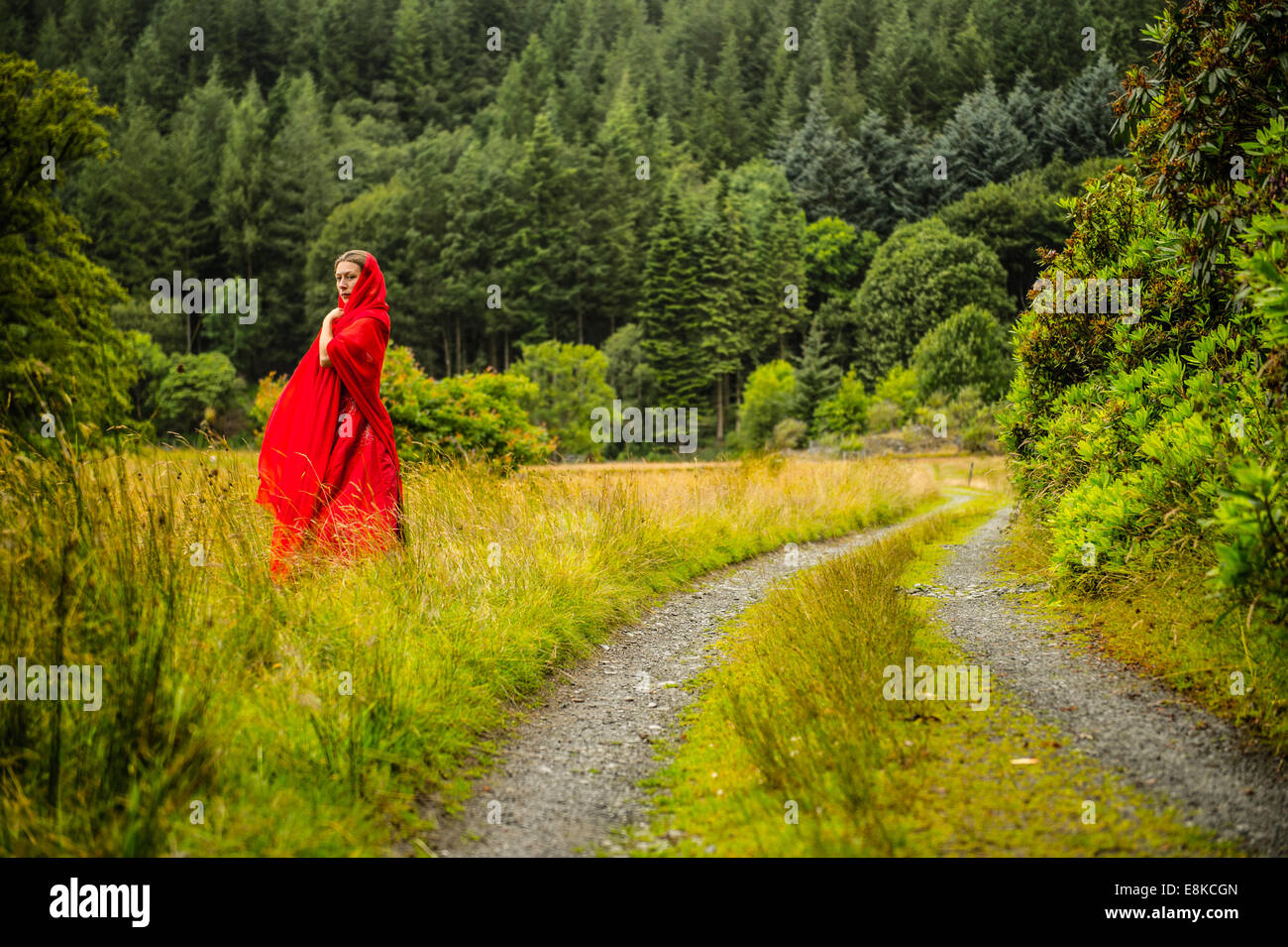 Scharlachrote Frau: eine nachdenkliche introvertierte nachdenklich Mädchen  trägt eine blutroten Kleid Kleid allein im Wald Landschaft Stockfotografie  - Alamy