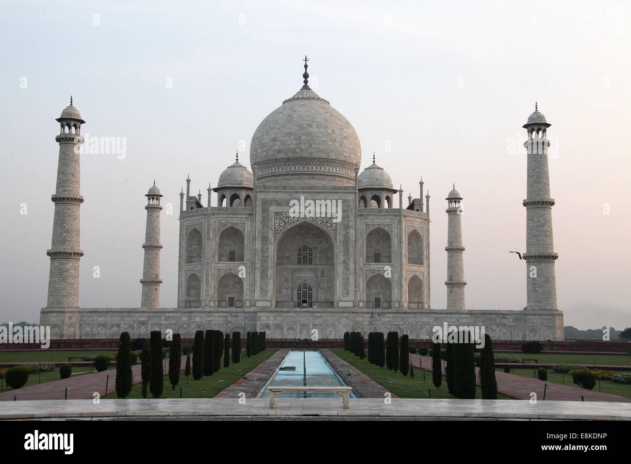 Taj Mahal in Agra ohne Besucher in den frühen Morgenstunden Stockfoto