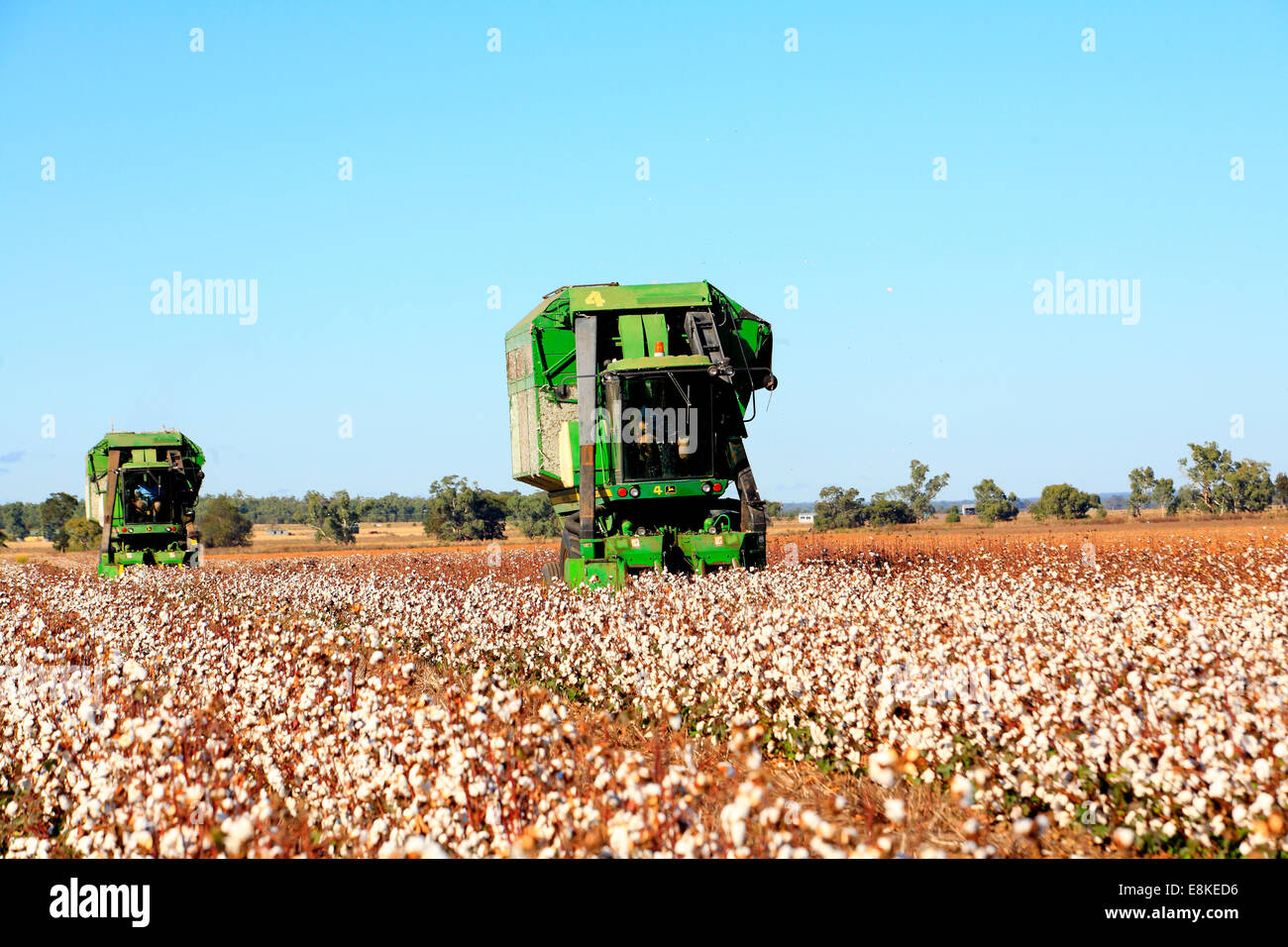 Zwei John Deere Baumwolle Erntemaschinen. Narrabri, westlichen Plains New South Wales, Australien Stockfoto