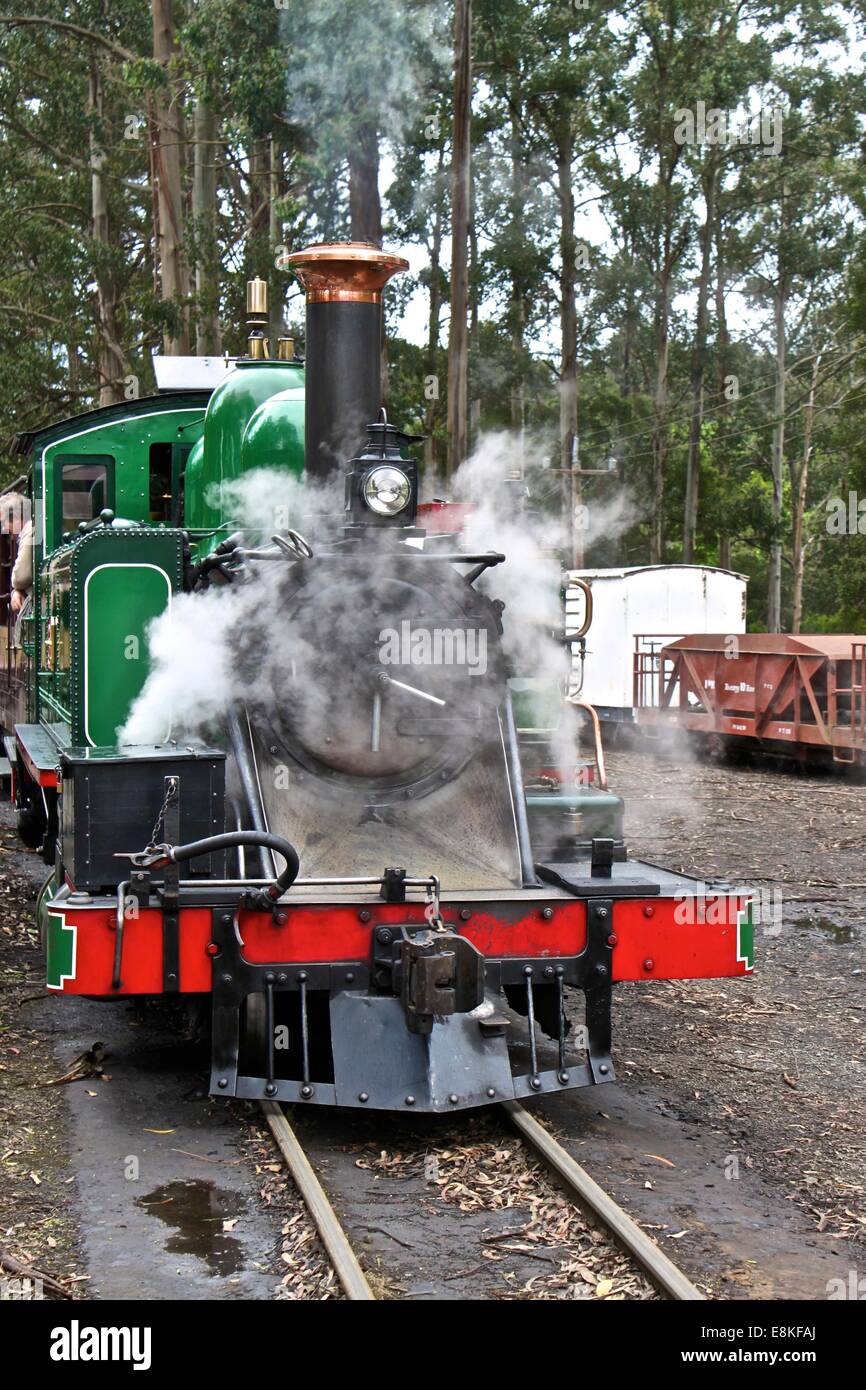 Puffing Billy Railway, Dampfzug, Yarra Valley, Australien Stockfoto