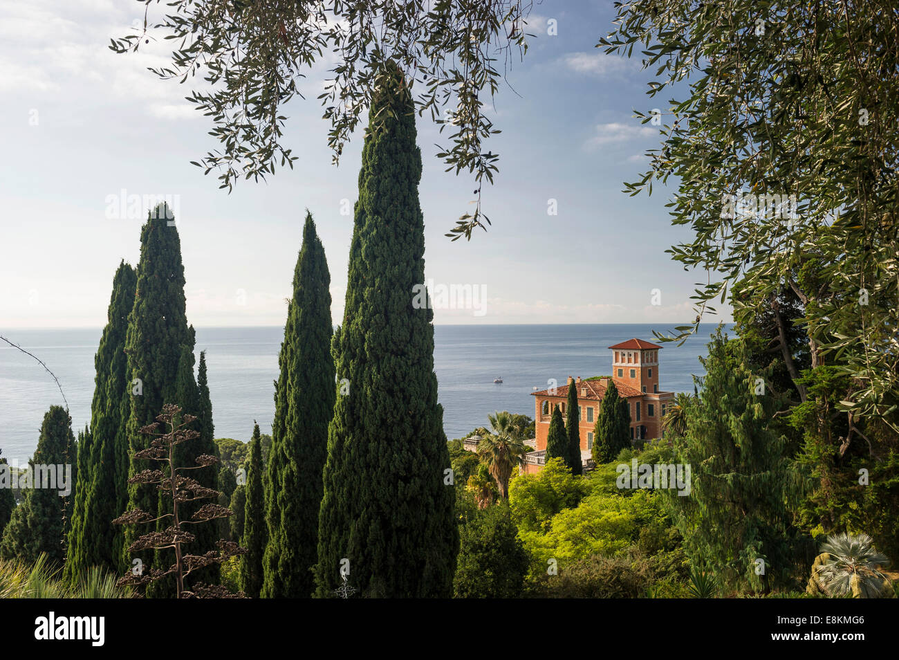 Giardini Botanici Hanbury, La Mortola, in der Nähe von Ventimiglia, Riviera dei Fiori, Ligurien, Italien Stockfoto