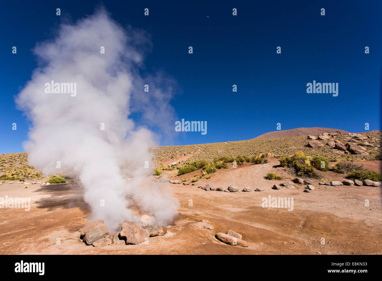 Geysire von El Tatio, Anden, Atacamawüste, Nord-Chile, Chile Stockfoto