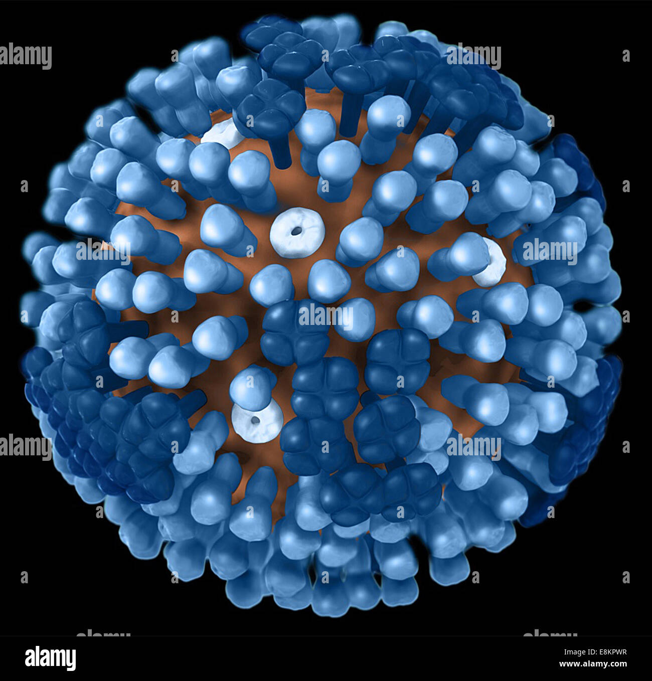 Diese Abbildung stellt auf schwarzem Hintergrund, 3D grafische Darstellung der generischen Grippe Virion s Ultrastruktur, und Stockfoto