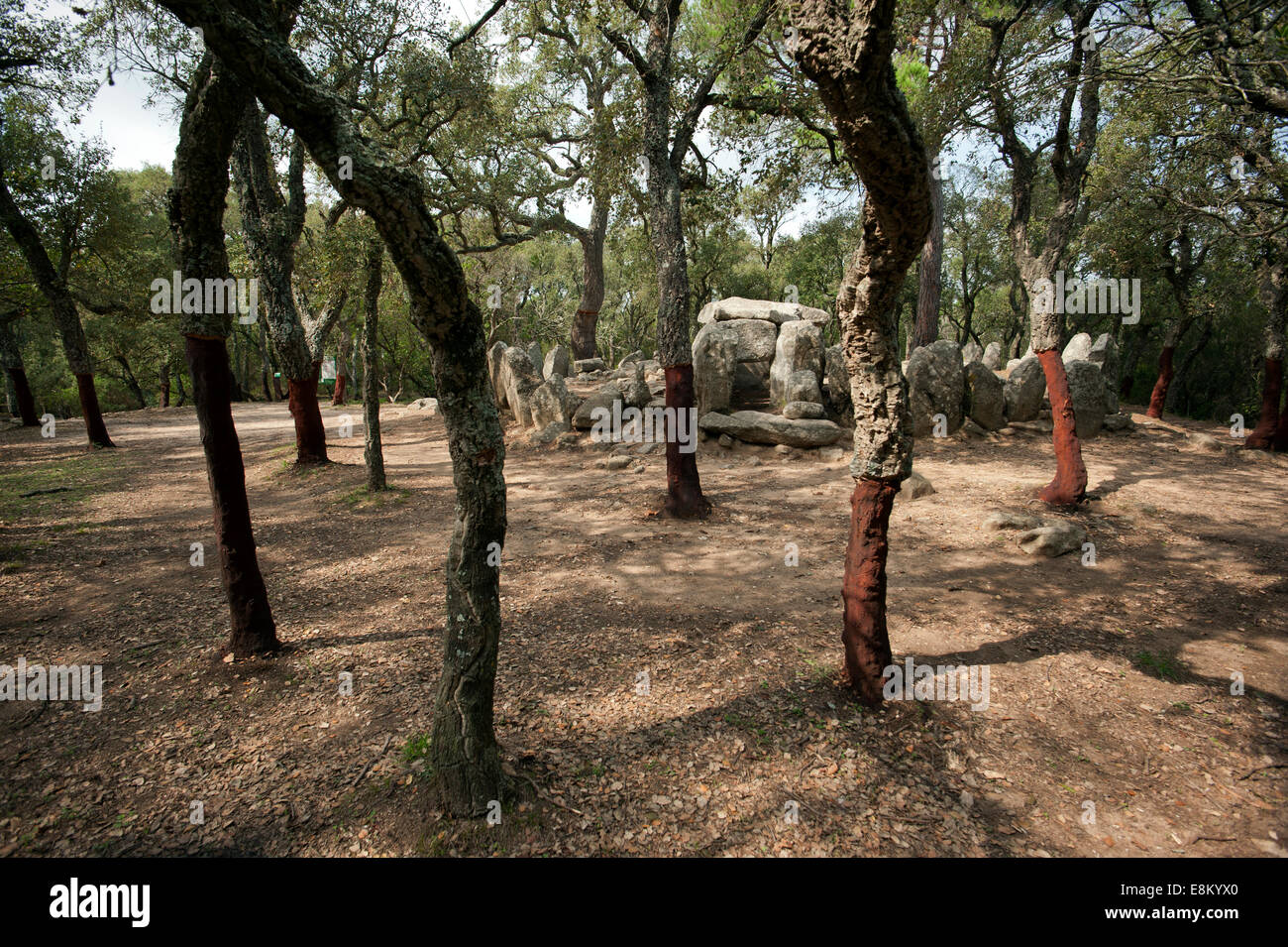 Cova d ' en Daina (Englisch: Dainas Höhle) befindet sich ein Dolmen in der Nähe von Romanyà De La Selva, in der Gemeinde von Santa Cristina d'Ar Stockfoto