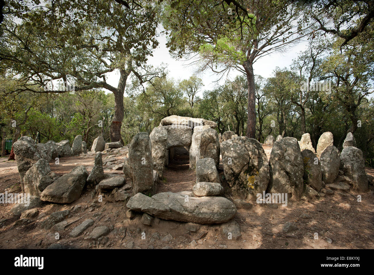 Cova d ' en Daina (Englisch: Dainas Höhle) befindet sich ein Dolmen in der Nähe von Romanyà De La Selva, in der Gemeinde von Santa Cristina d'Ar Stockfoto