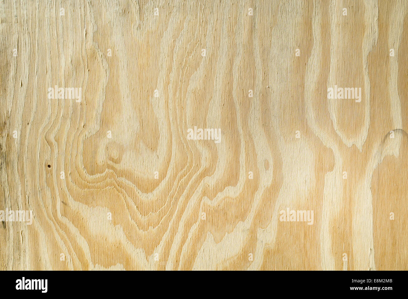 Holz Texturen für die Nutzung von konzeptionellen Hintergrund. Stockfoto