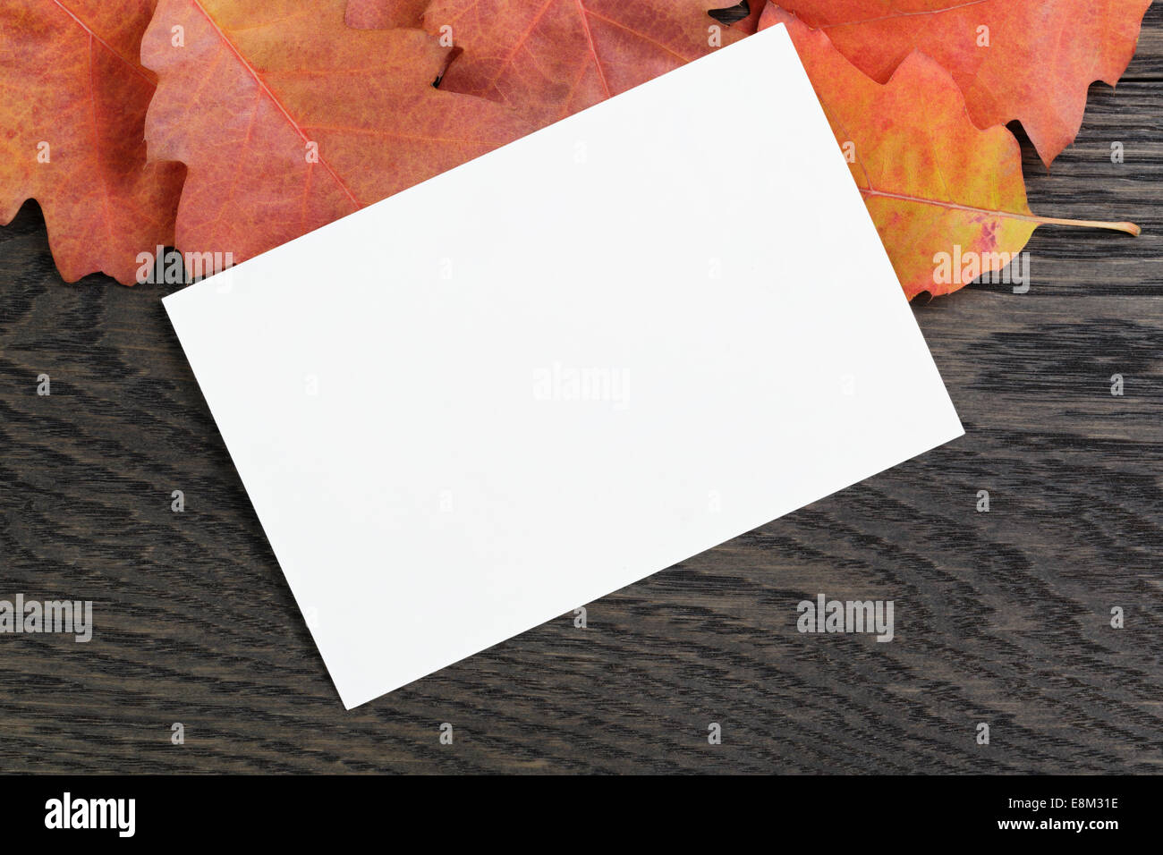 Herbst Hintergrund mit Roteiche Blätter auf gefärbten Eichentisch direkt von oben Stockfoto