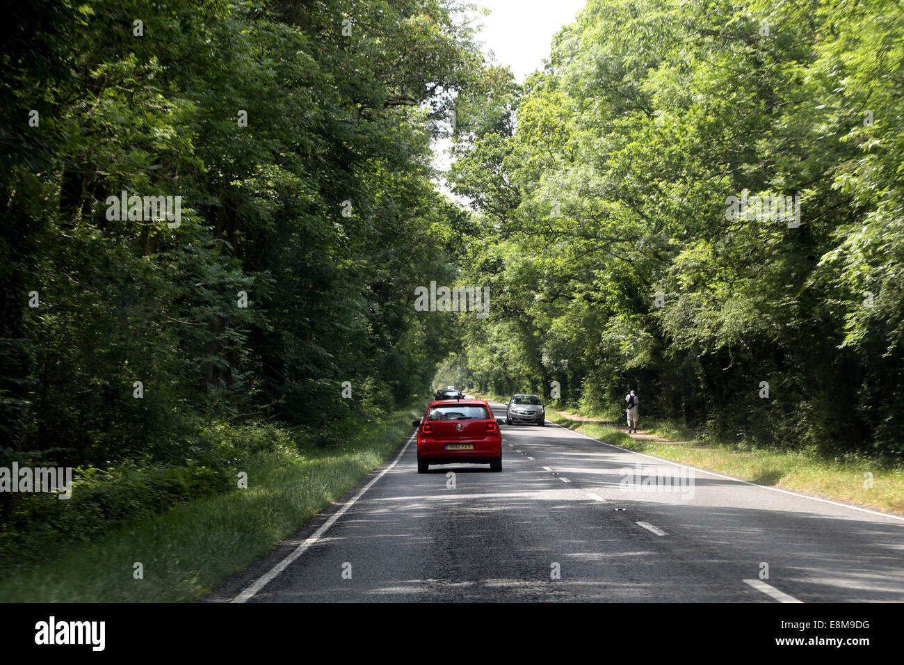 Autos auf der Straße durch New Forest Hampshire in England Stockfoto