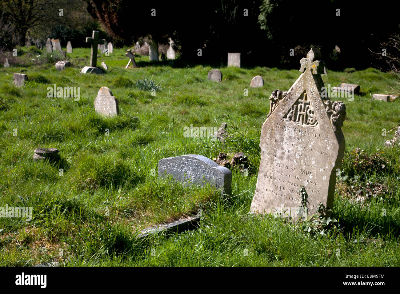 Alter Friedhof Grabsteine Southampton gemeinsame Hampshire England Stockfoto