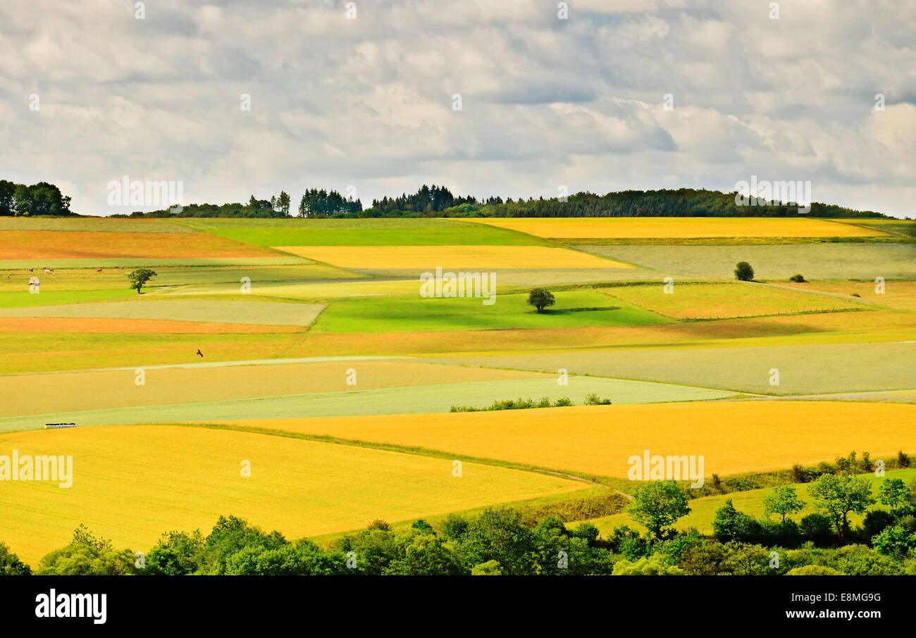 Deutsche Landschaft Stockfoto