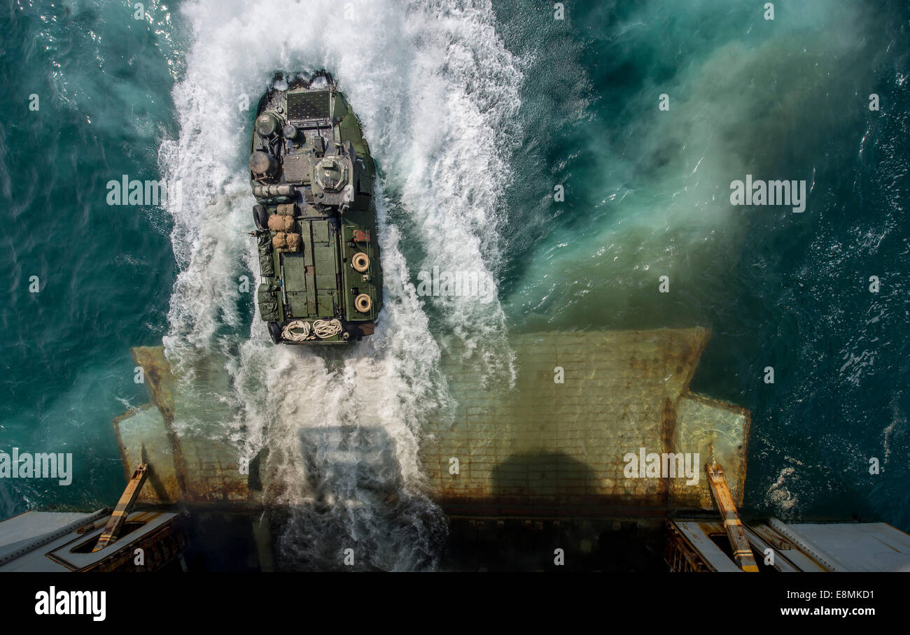 Persischen Golf, 24. August 2014 - Ausfahrt Marines an Bord eine amphibische Fahrzeug (AAV) gut Deck des amphibischen Angriffs Stockfoto