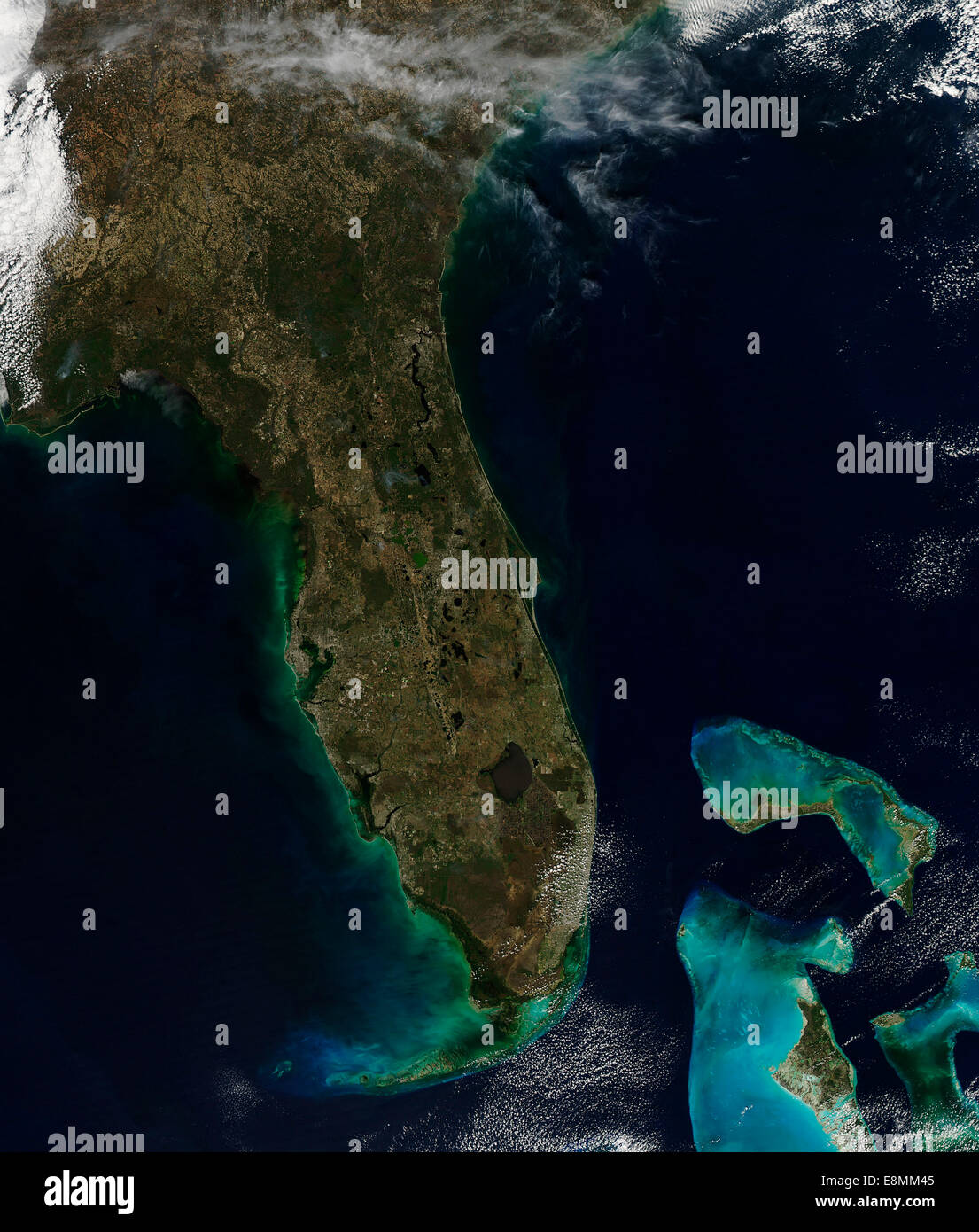 17. Februar 2014 - Satellitenansicht von Florida. Stockfoto