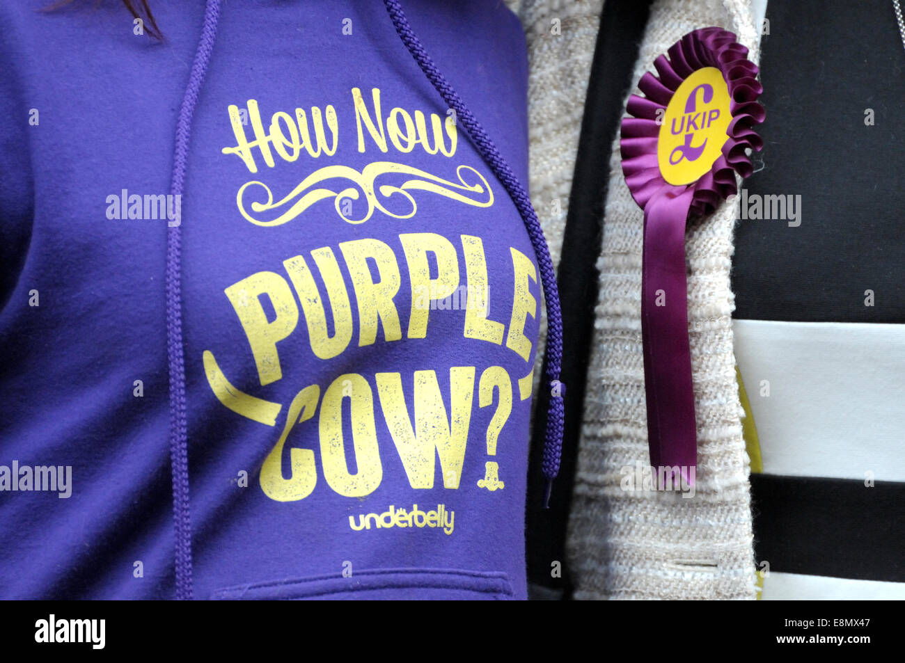 Rochester, Großbritannien. 11. Oktober 2014. Douglas Carswell MP und Nigel Farage besuchen Rochester zum Öffnen eines neuen Büros auf der High Street und unterstützen Mark Reckless vor der Nachwahl im November Stockfoto
