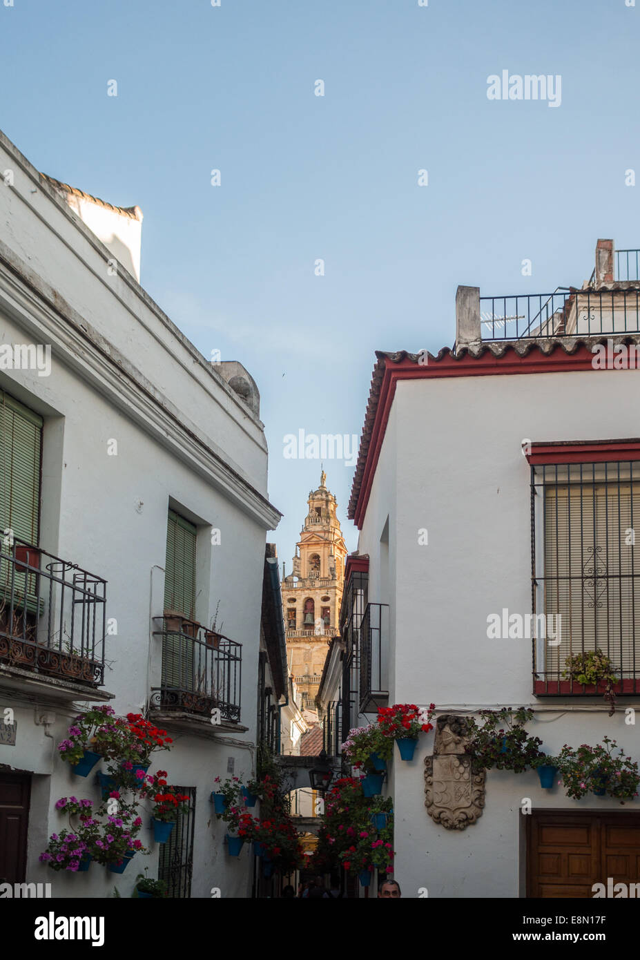 Cordoba Calleja de Las Flores Stockfoto