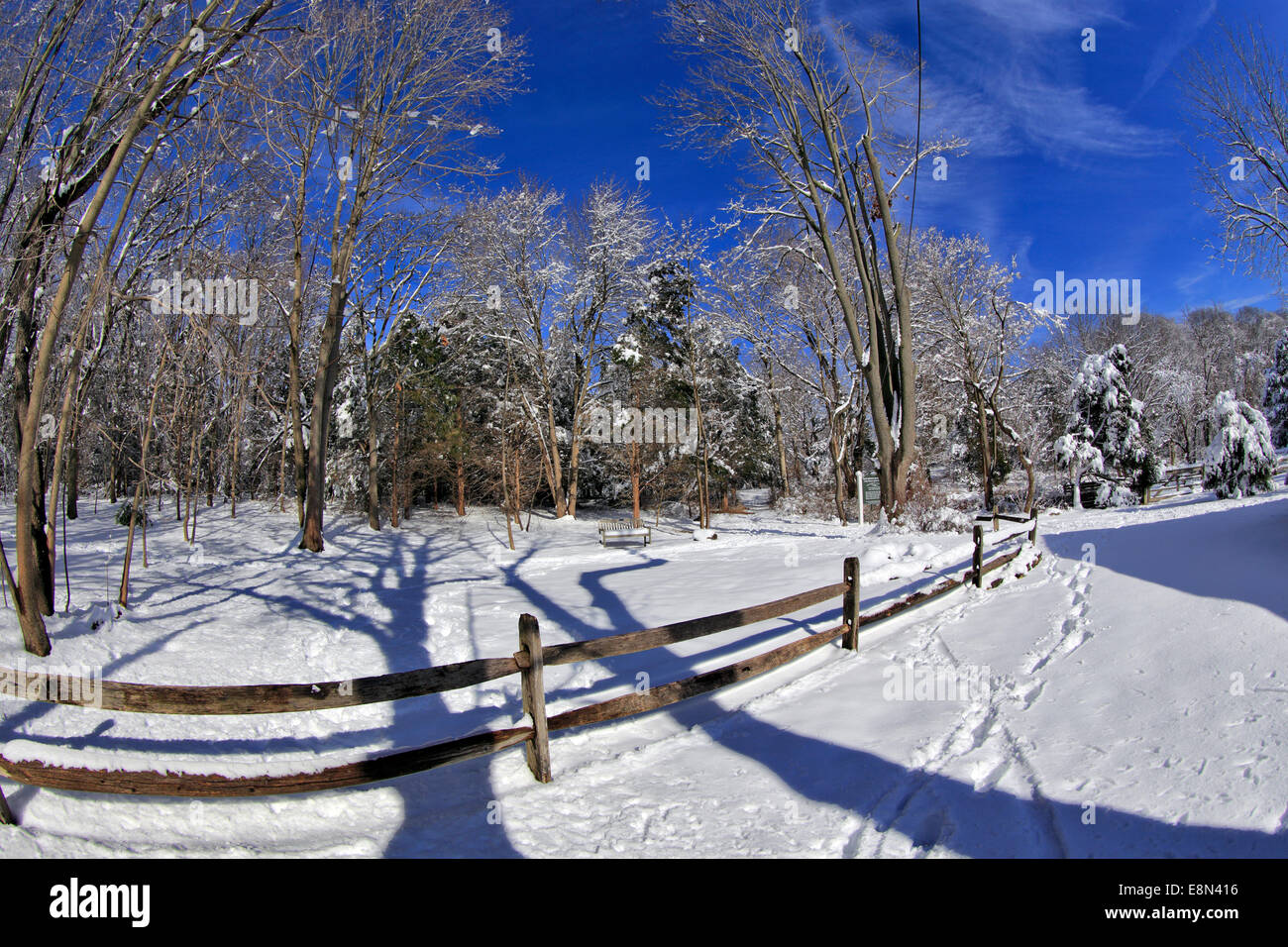Schneebedeckten Park in Long Island NewYork Stockfoto