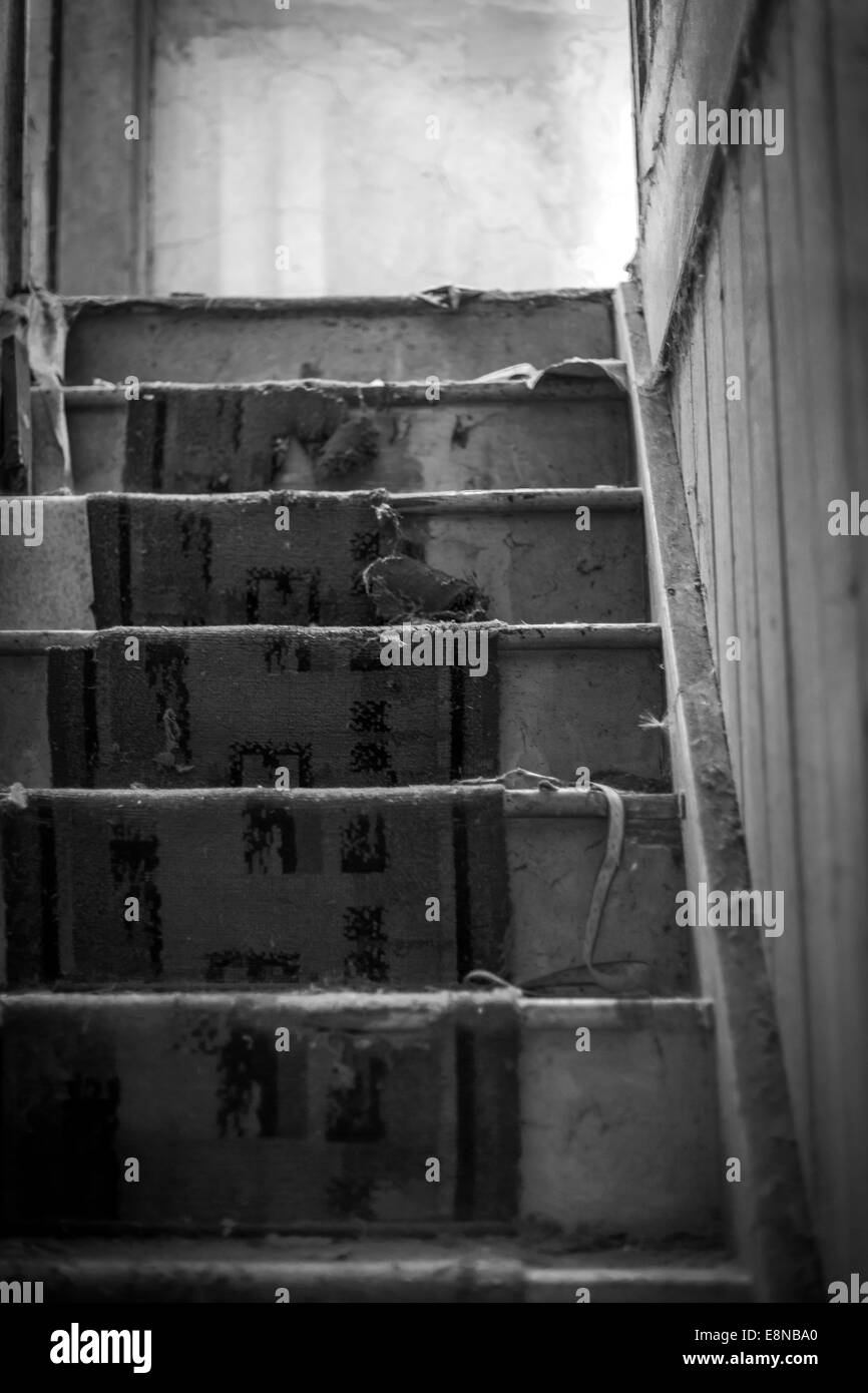 Treppe in ein altes verlassenes Haus. Teppich ist abgenutzt und zerfallen in schwarz / weiß Stockfoto