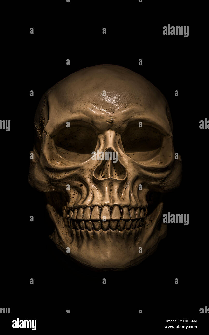 Gruselige Schädel auf schwarzem Hintergrund. Ideal für Halloween. Stockfoto