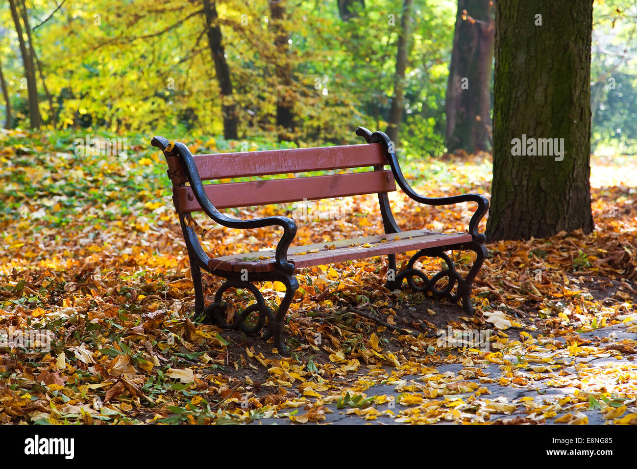 Holzbank in Herbstlandschaft Stockfoto