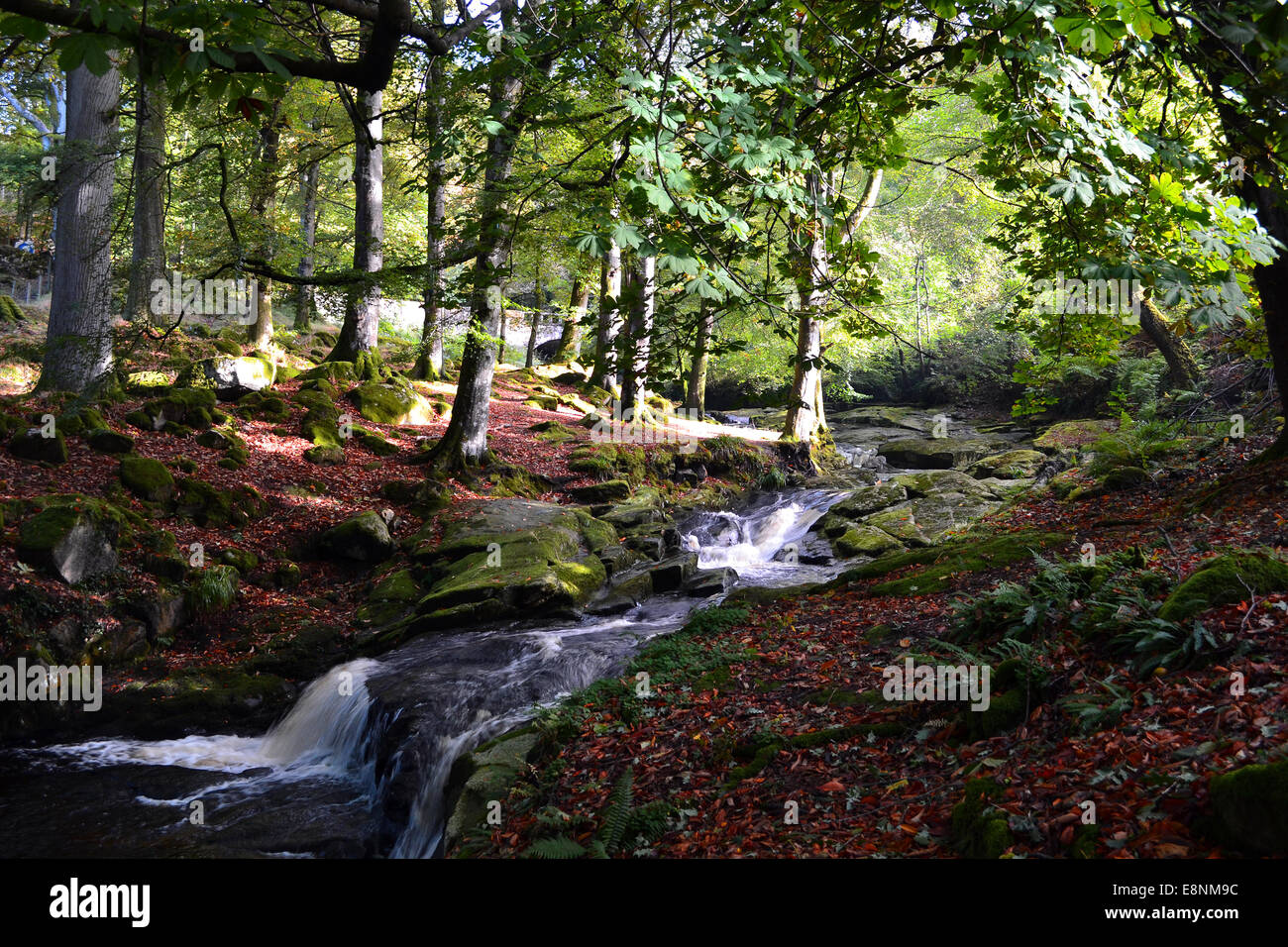 Irland-Landschaft Stockfoto