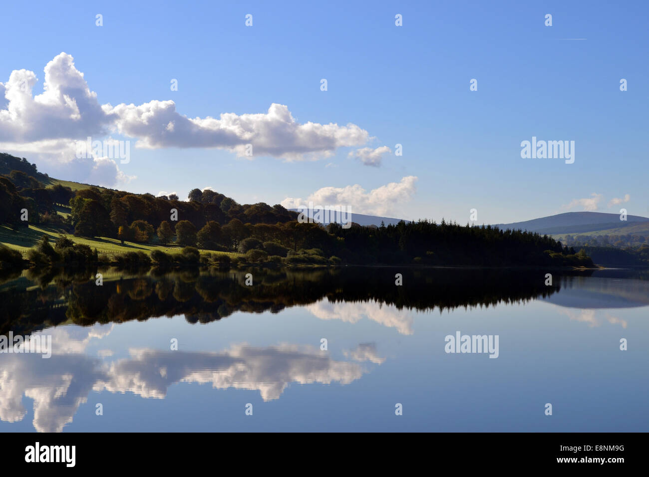 Reflexionen in der Natur Stockfoto