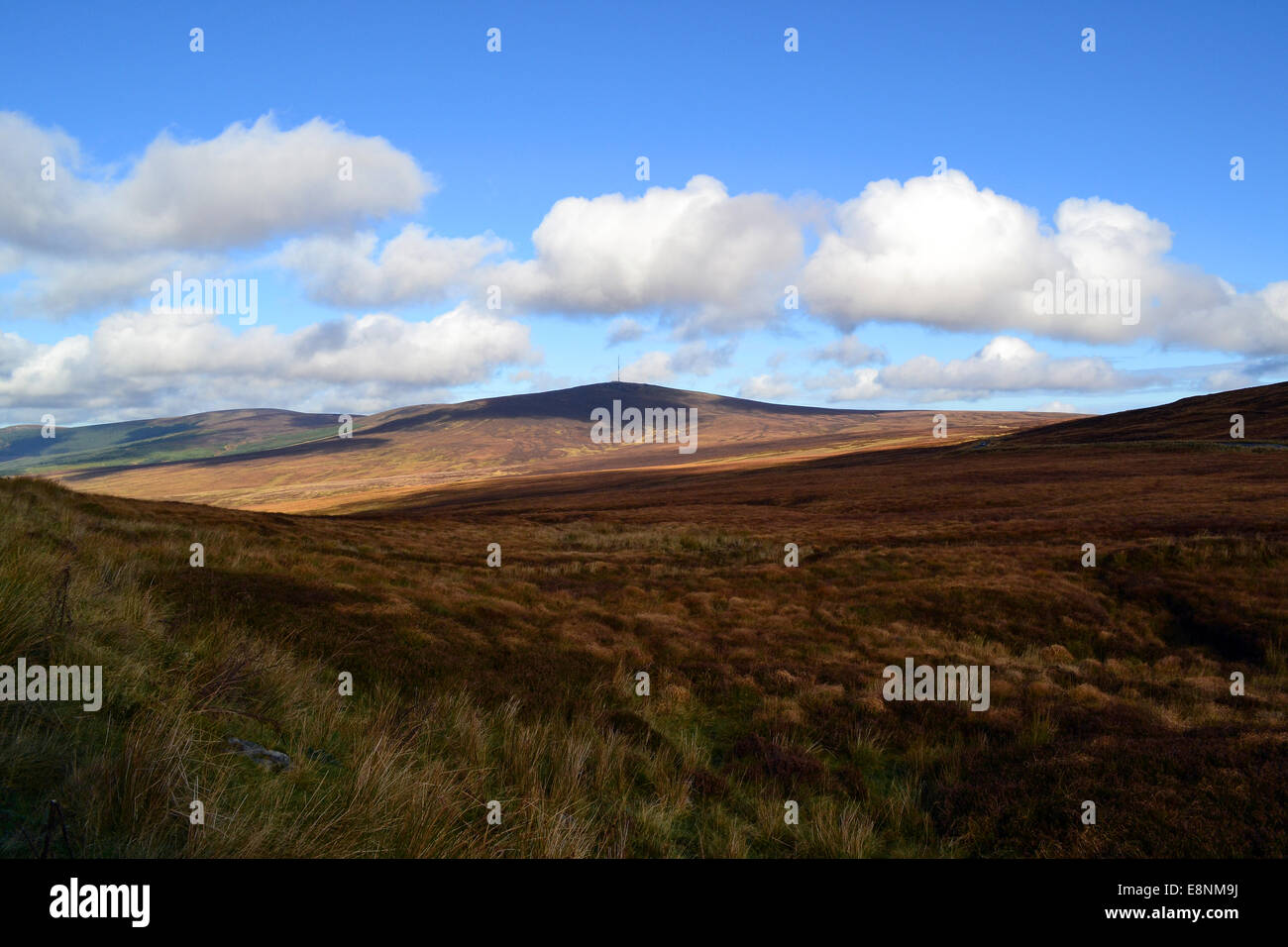Irische Landschaft Stockfoto