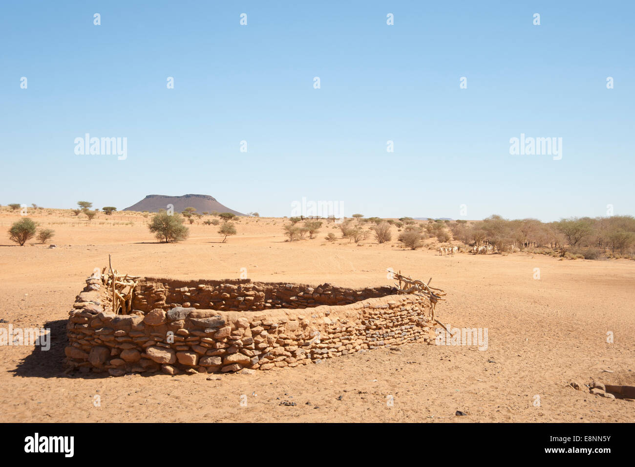 Eine Wasserstelle in der sudanesischen Wüste. Stämme Reisen Meilen sammeln Stockfoto