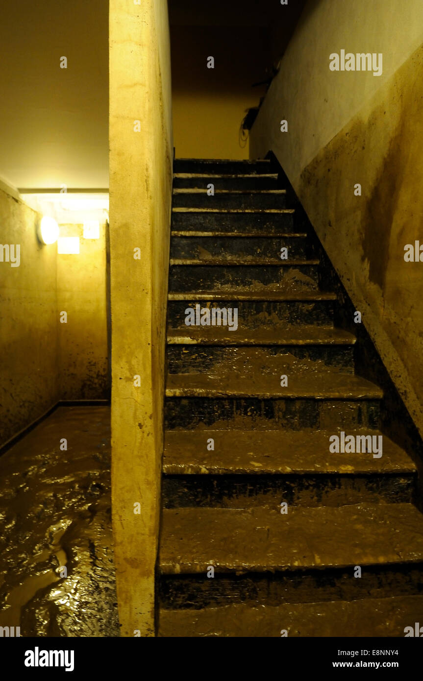 Genua, Italien. 11. Oktober 2014. Folgen der Überschwemmungen. Mindestens eine Person starb, als Sturzfluten durch die nordwestlichen italienischen Stadt Genua fegte. Schaufenster wurden eingeschlagen, Autos gewaschen beiseite und viele Straßen Knie tief im schlammigen Wasser gelassen wurden. © Massimo Piacentino/Alamy Live-Nachrichten Stockfoto
