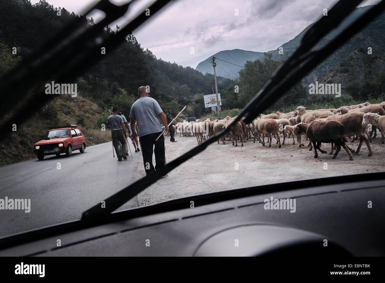 Ein Hirte ist aus in einem Auto im südlichen Kosovo gesehen. Stockfoto