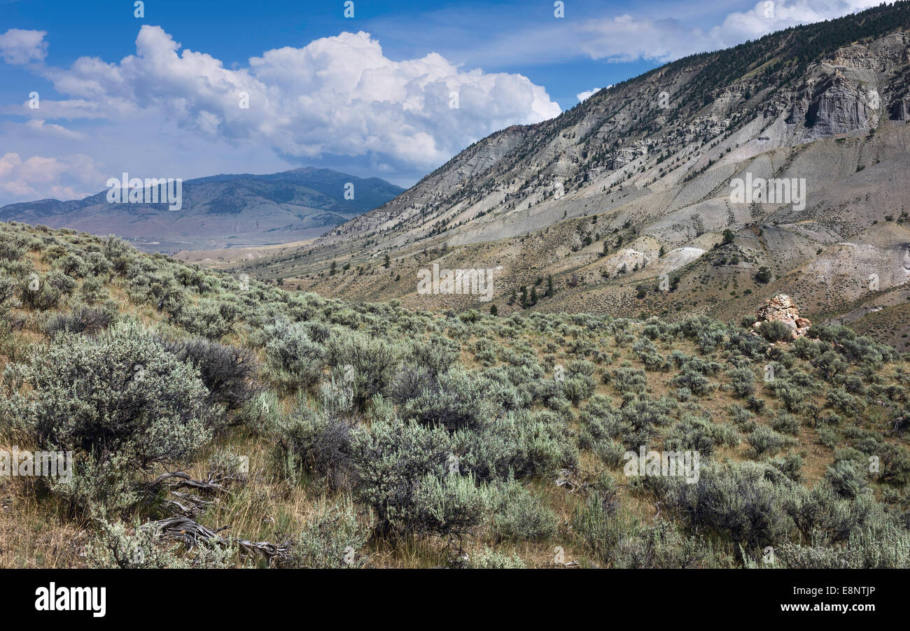 Yellowstone-Nationalpark zeigt Berge, land der trockenen Hügellandschaft und verstreuten Felsen im Busch, Wyoming, USA. Stockfoto