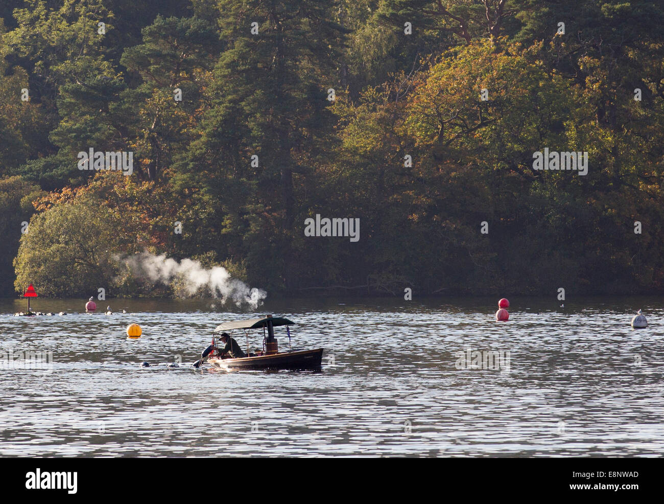 Lake Windermere, Cumbria, UK. 12. Oktober 2014. Herbstfärbung & Dampf Boot 'Primrose' Built 2002 von Doug Sims bei Whitby Lake Windermere Credit: Gordon Shoosmith/Alamy Live News Stockfoto