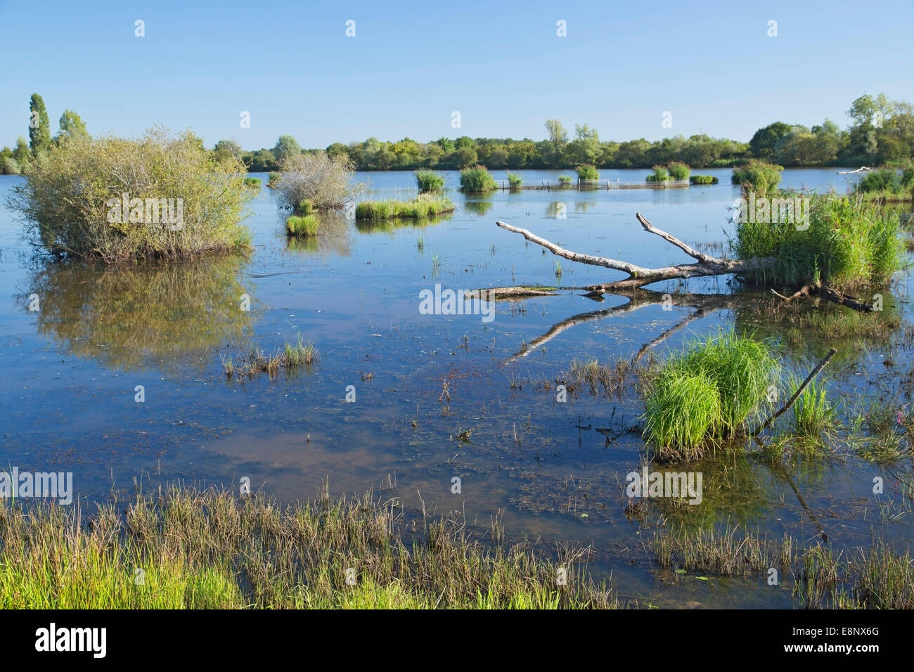 Blick über Wasser im Nationalpark La Brenne, Frankreich Stockfoto