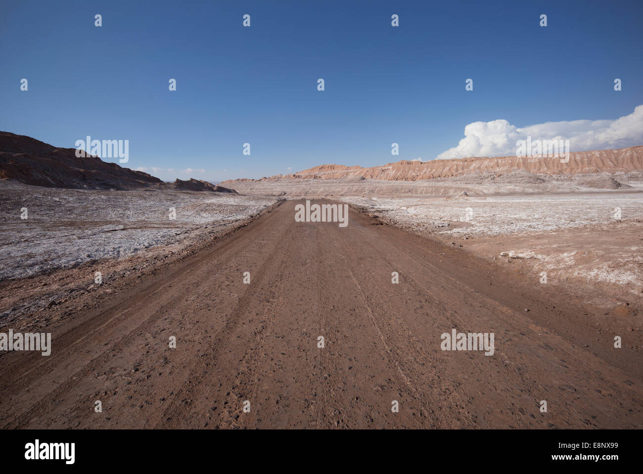 Feldweg im Moon Valley National Park, Atacama-Wüste, Chile, Südamerika. Stockfoto