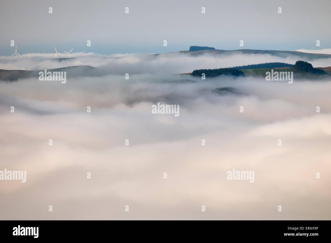 Eine Wolke Inversion deckt die sanften Hügeln in der Nähe von Dinas in Wales. Stockfoto