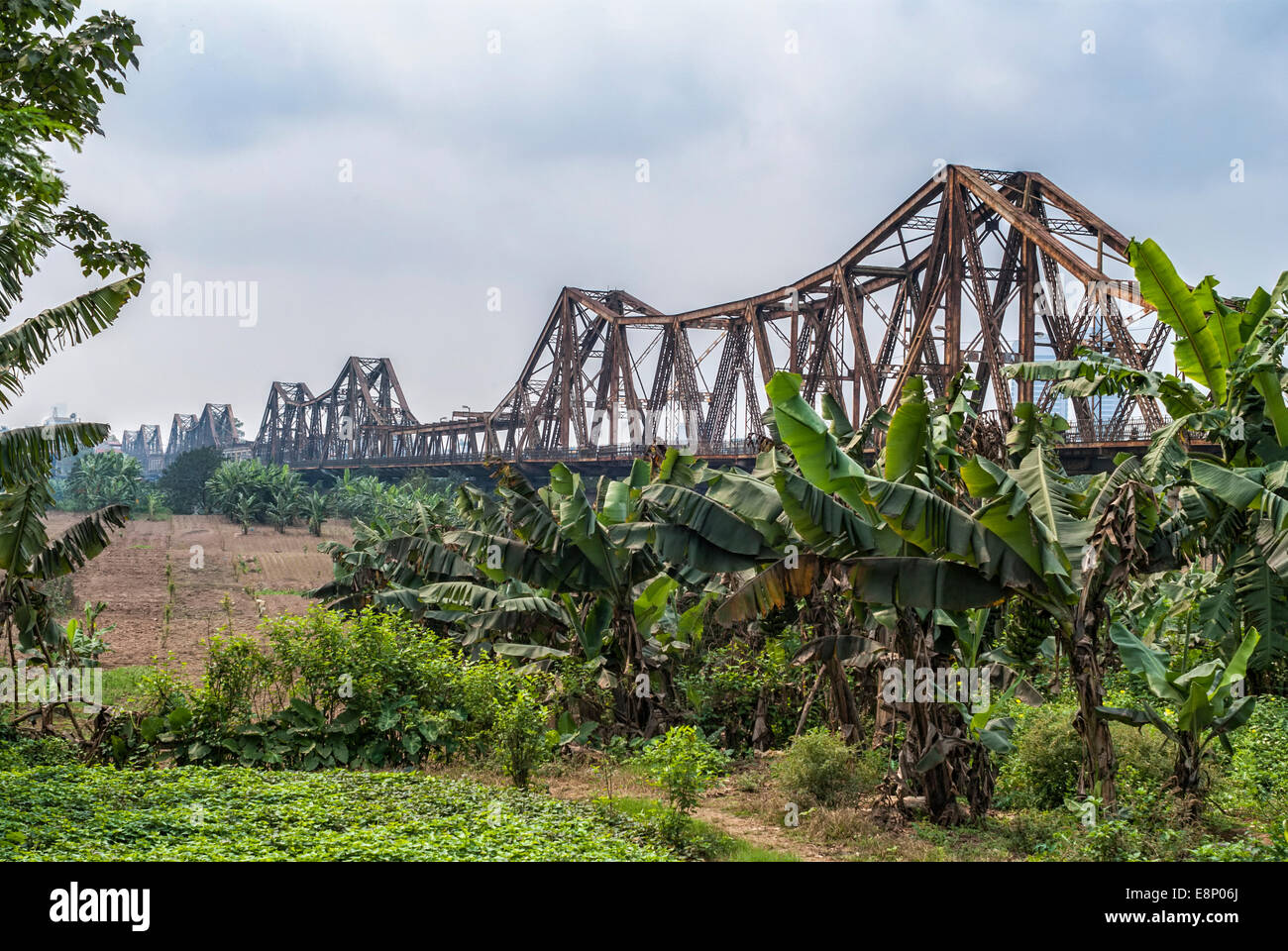 Langen historischen Metallbrücke über Bananenplantage unter leichten blauen Himmel. Stockfoto