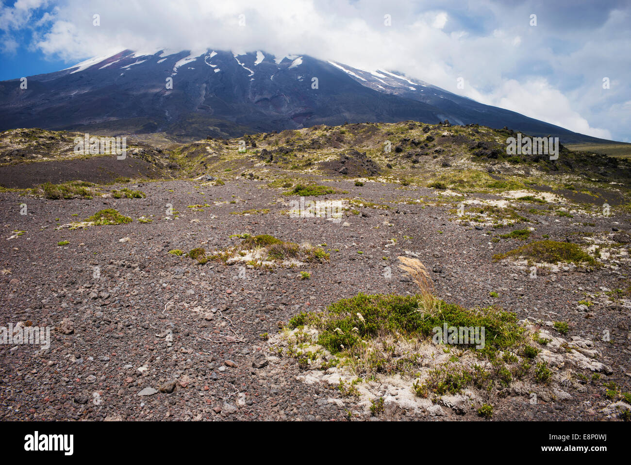 Pfad der Verwüstung, Vulkan Osorno, Chile, Südamerika. Stockfoto