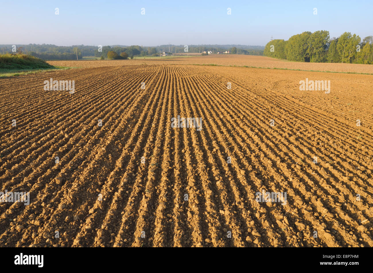 frisch gepflügten Land Feldes Furchen bilden Stockfoto