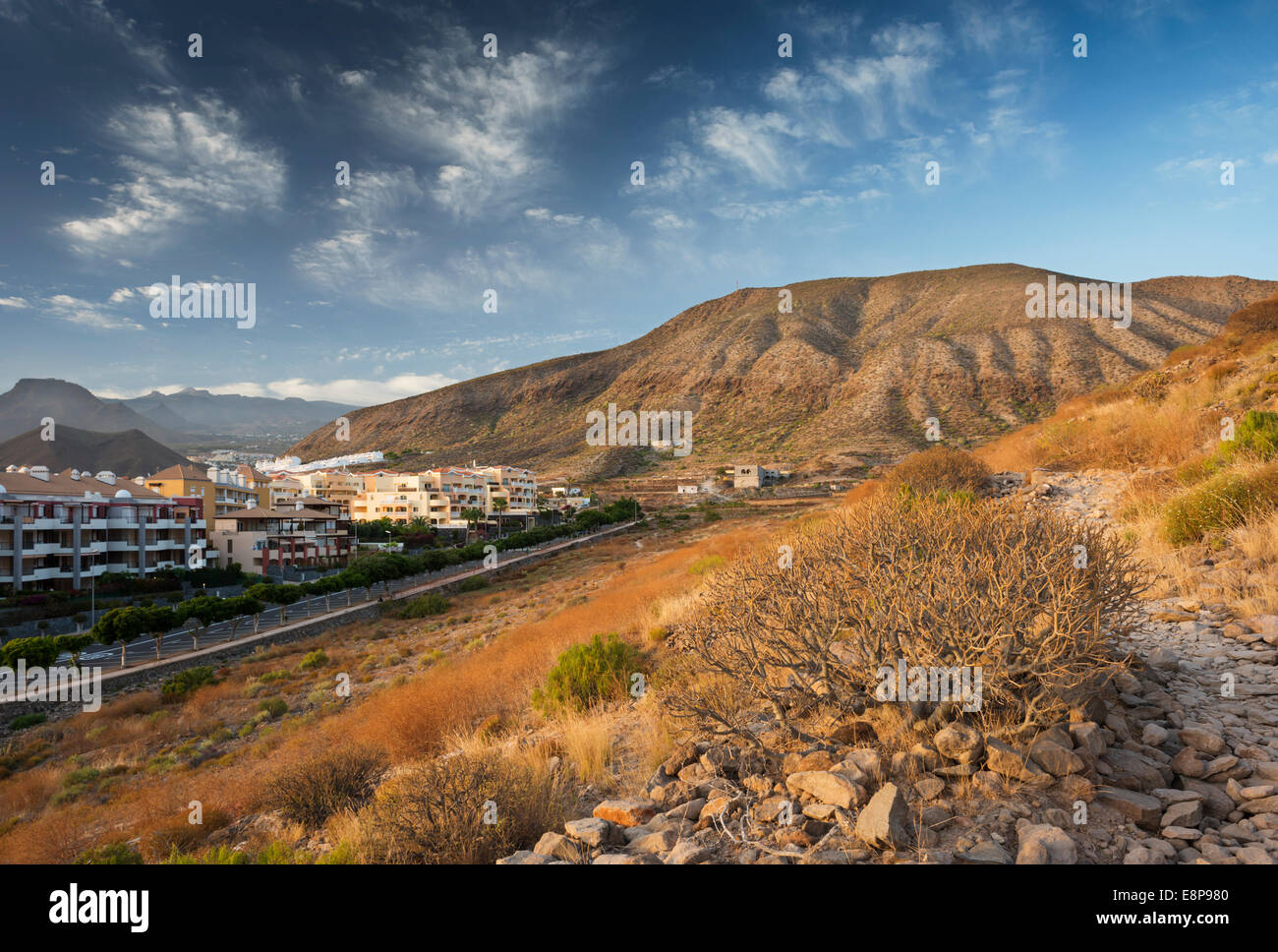 Das östliche Ende von Los Cristianos, Teneriffa, bildet einen natürlichen geschützten Bereich für die einheimische flora Stockfoto