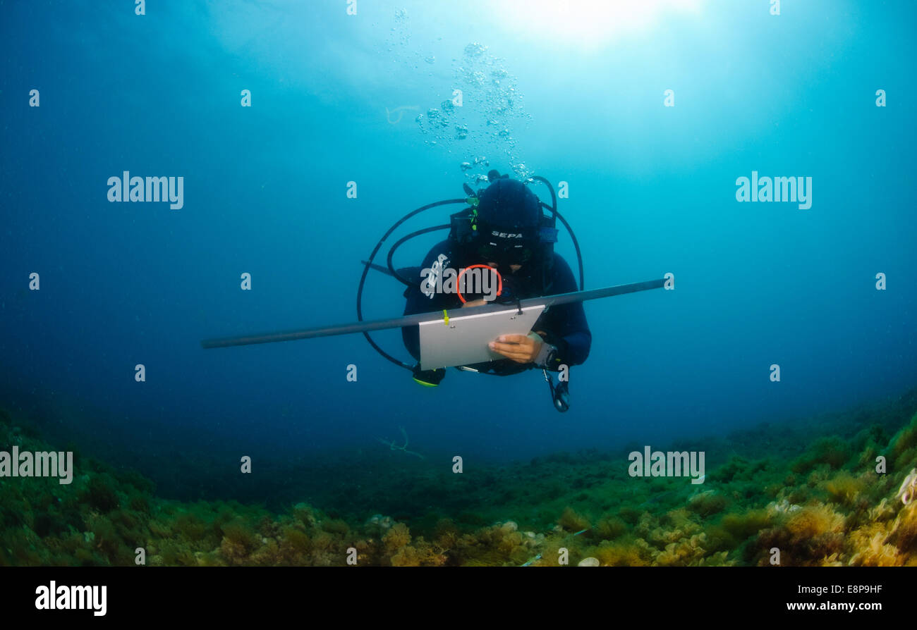 professionelle Taucher durchführen eine Unterwasser Umfrage des mediterranen Meeresbodens Stockfoto