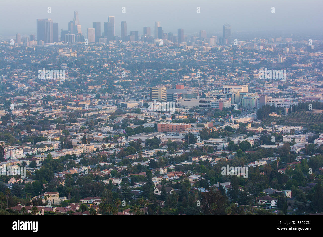 Blick auf Downtown Los Angeles und Umgebung vom Griffith Park, Los Angeles, Kalifornien, USA Stockfoto